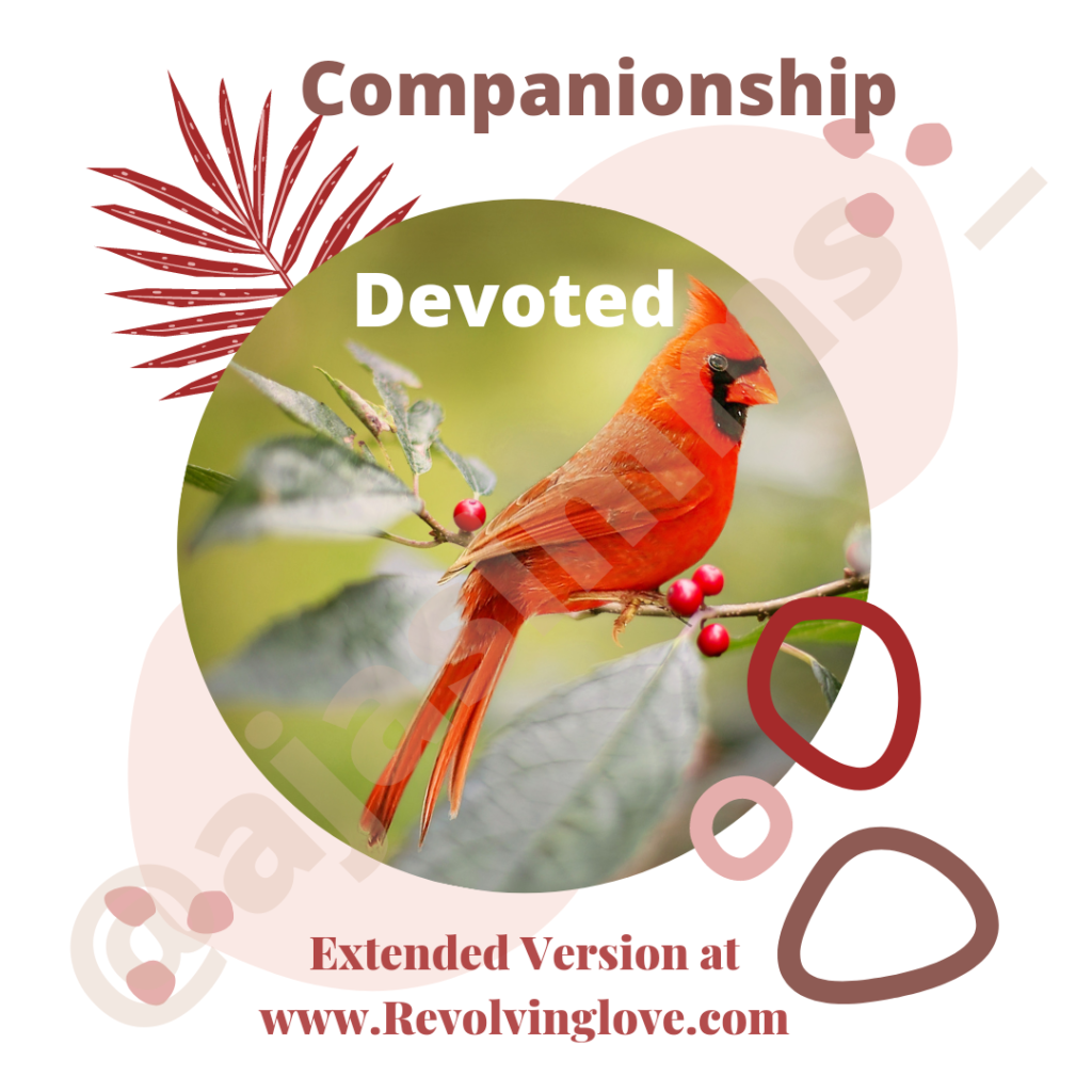 spiritual-meaning-of-cardinal-bird-revolving-love-by-a-ja-simms