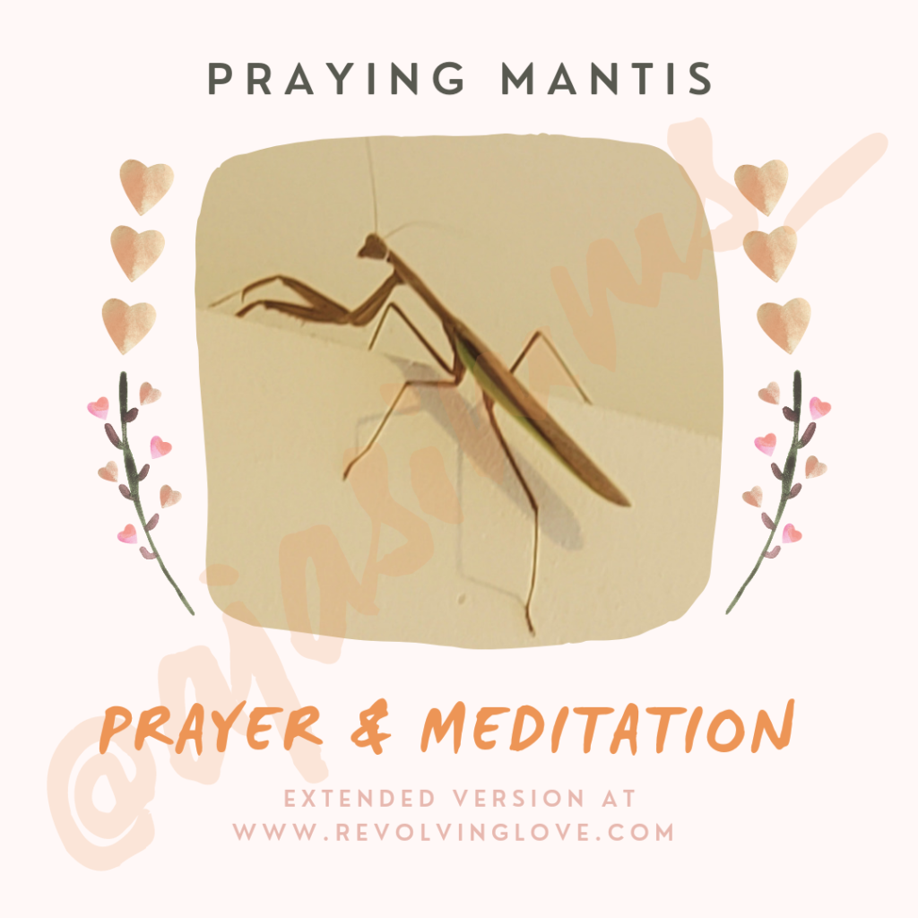 spiritual-meaning-of-praying-mantis-revolving-love-by-a-ja-simms