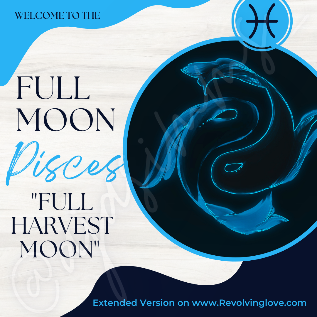 new-moon-in-pisces-20-february-all-signs-update-youtube